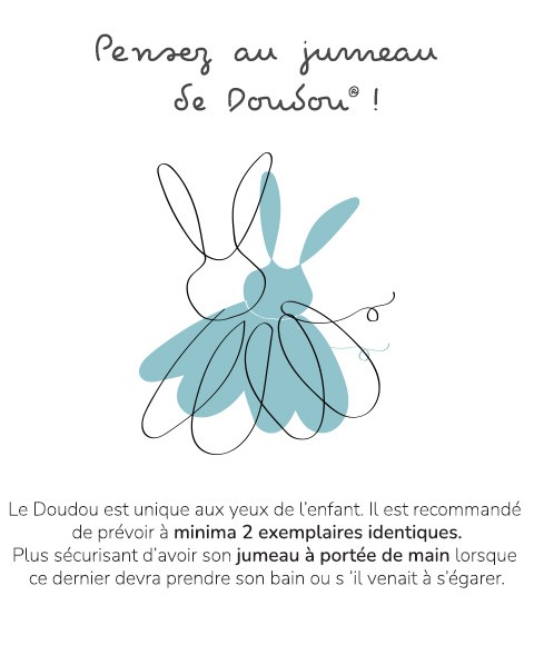 jumeau-de-doudou.jpg